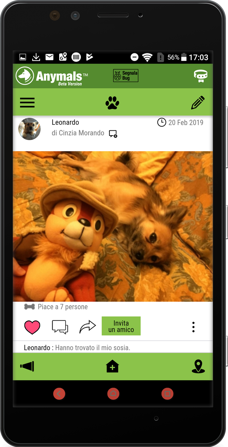 Social Wall: stay connected with other pets lovers